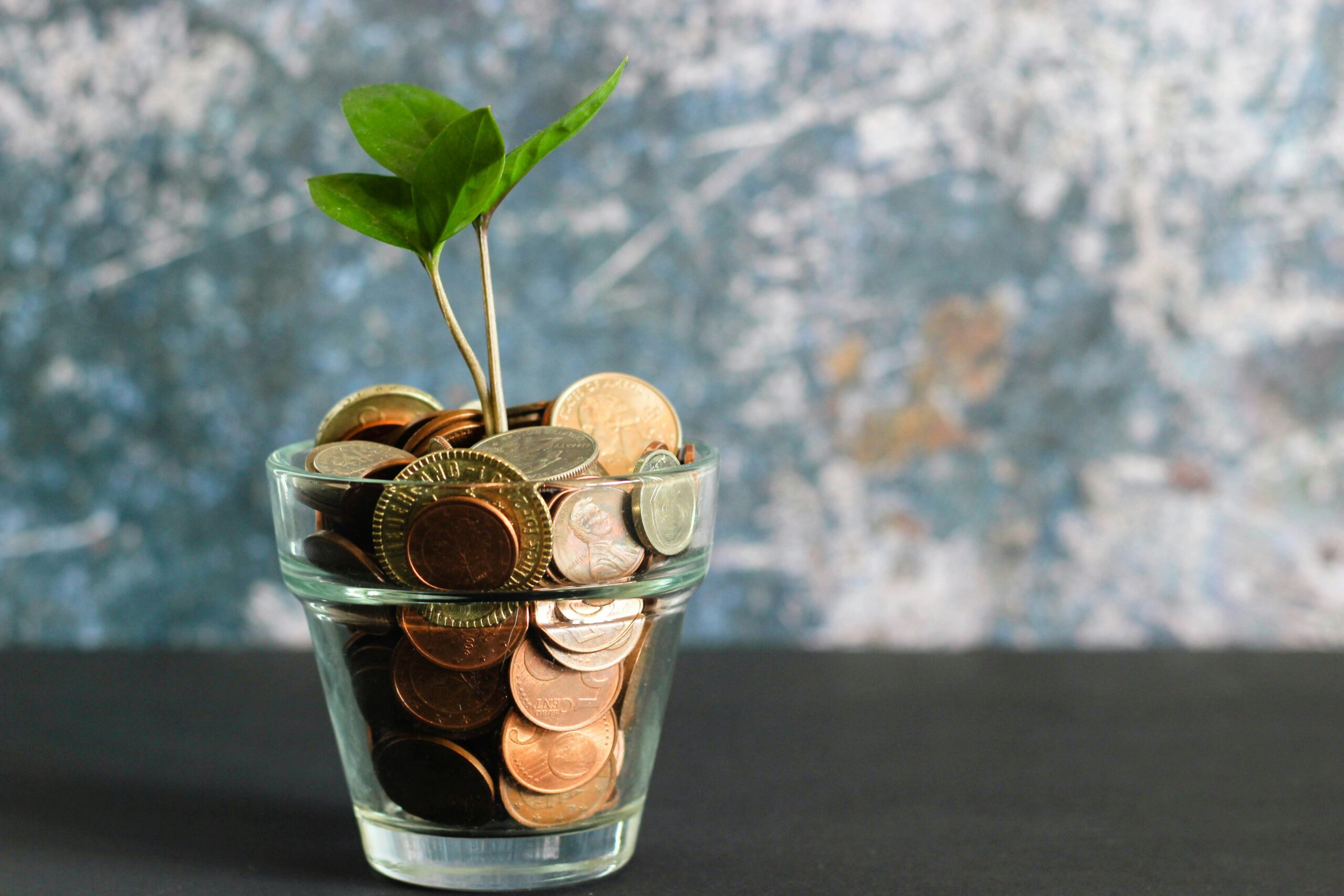 MNH-Comment-financer-son-bilan-de-competences-cannes